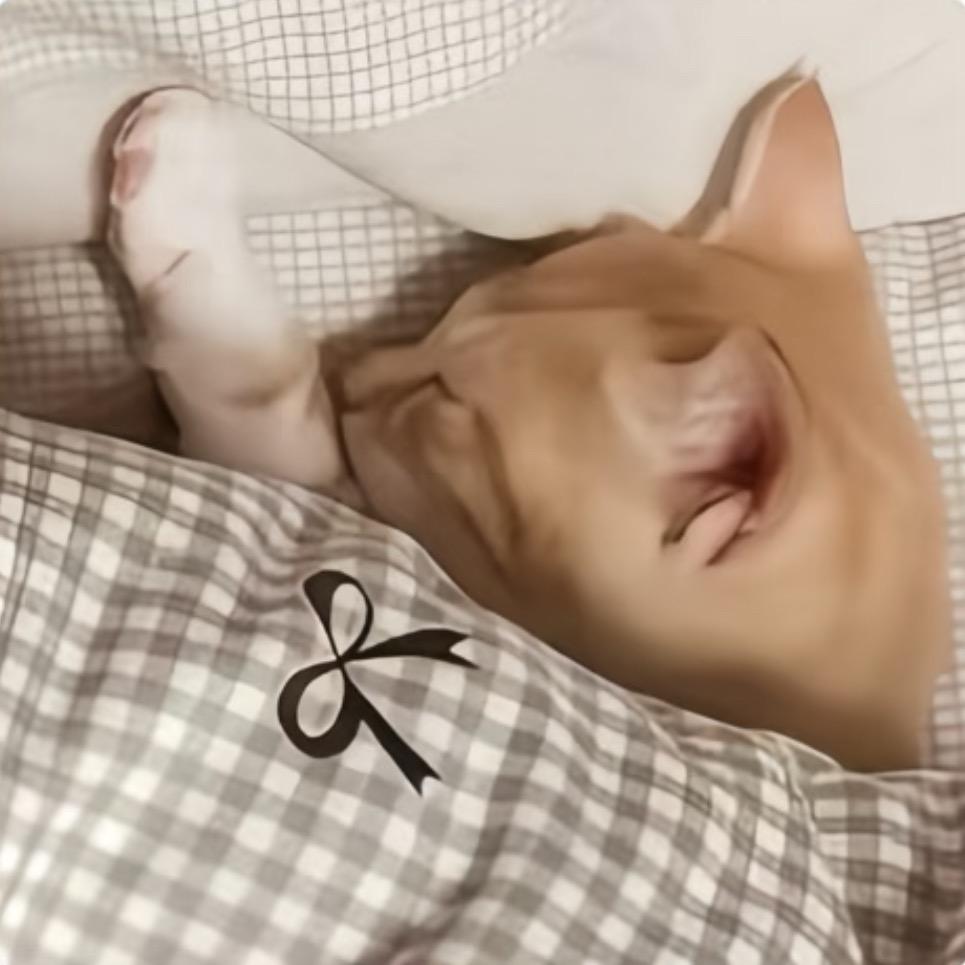 安靖