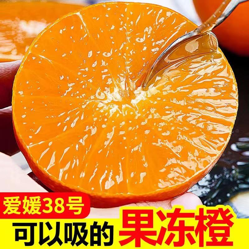 盘龙水果合作社