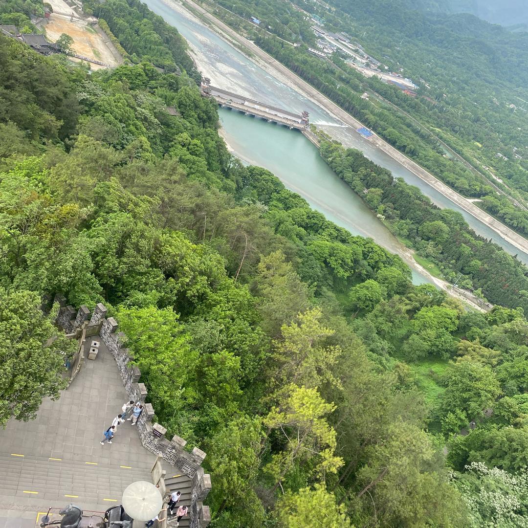 茉莉海棠