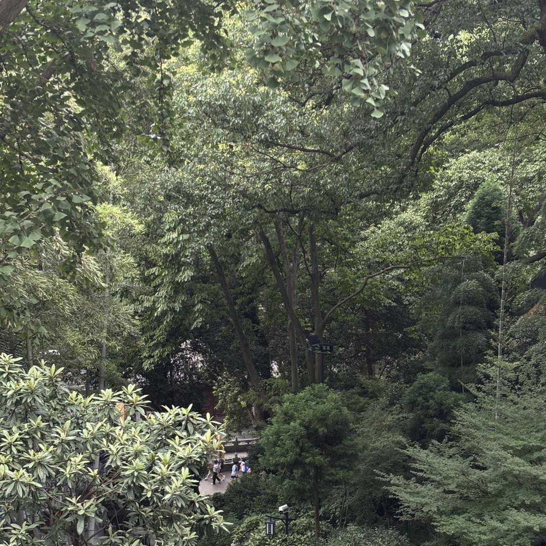想庄综合好物严选店