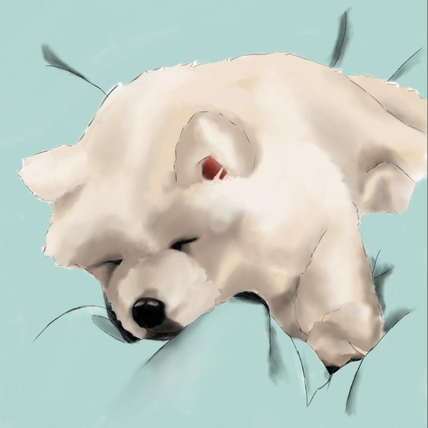 墩墩