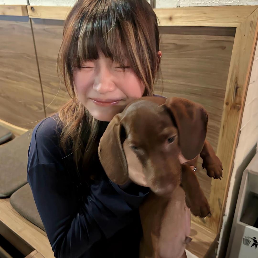我不是齐刘海