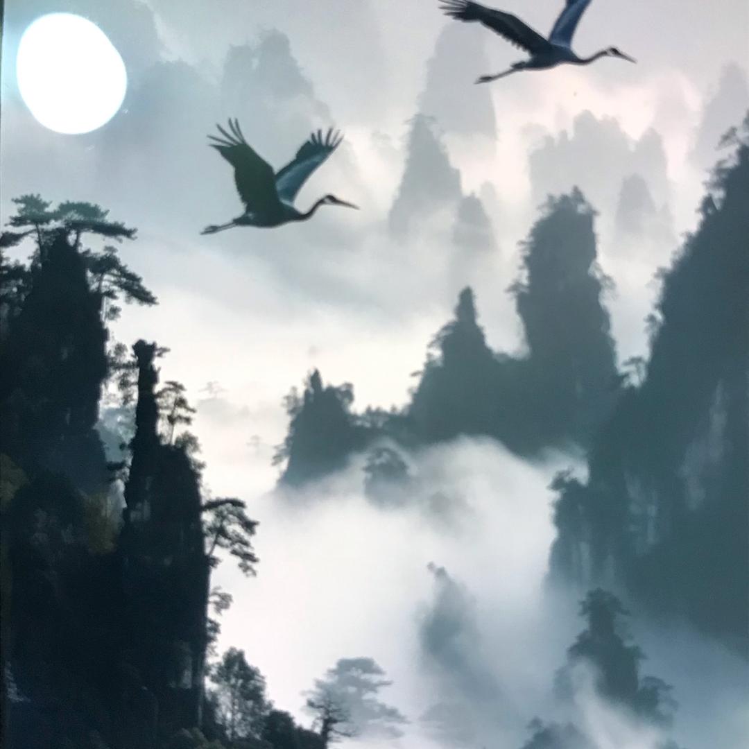 卯月逸仙