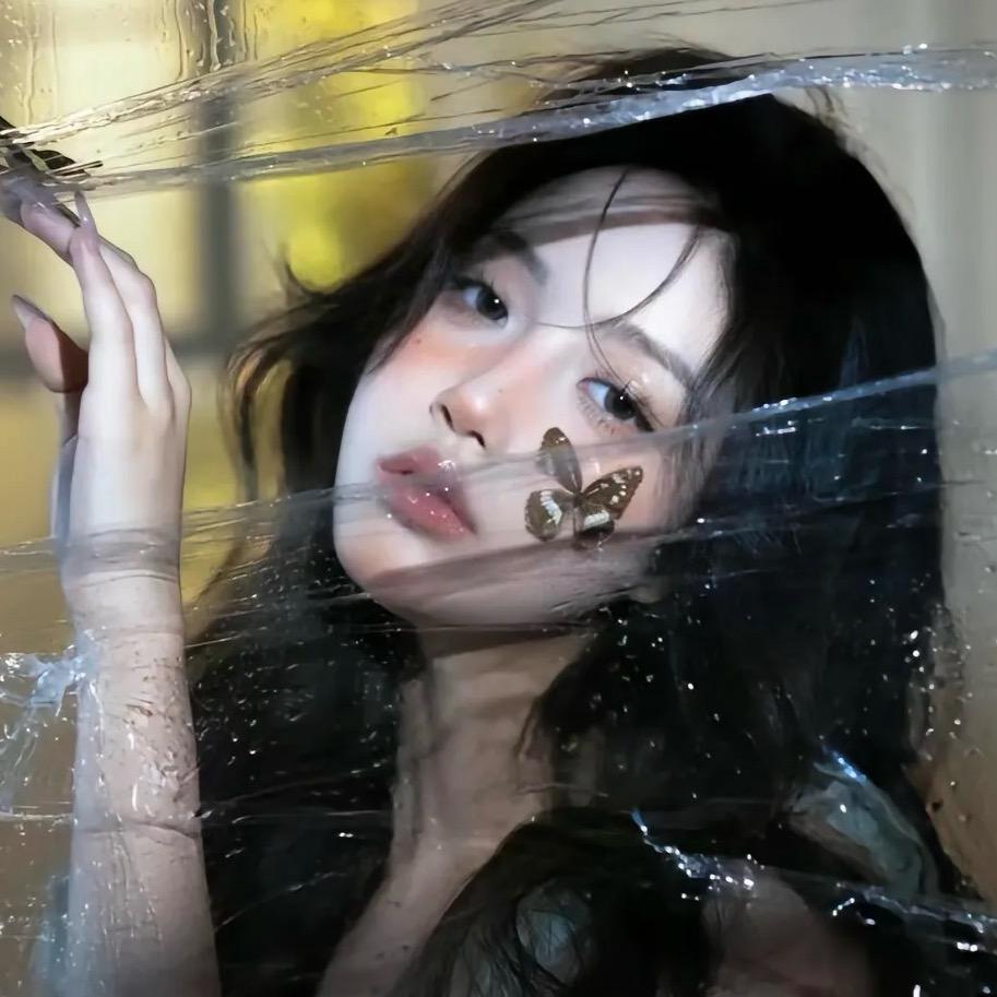 蝴蝶 🦋