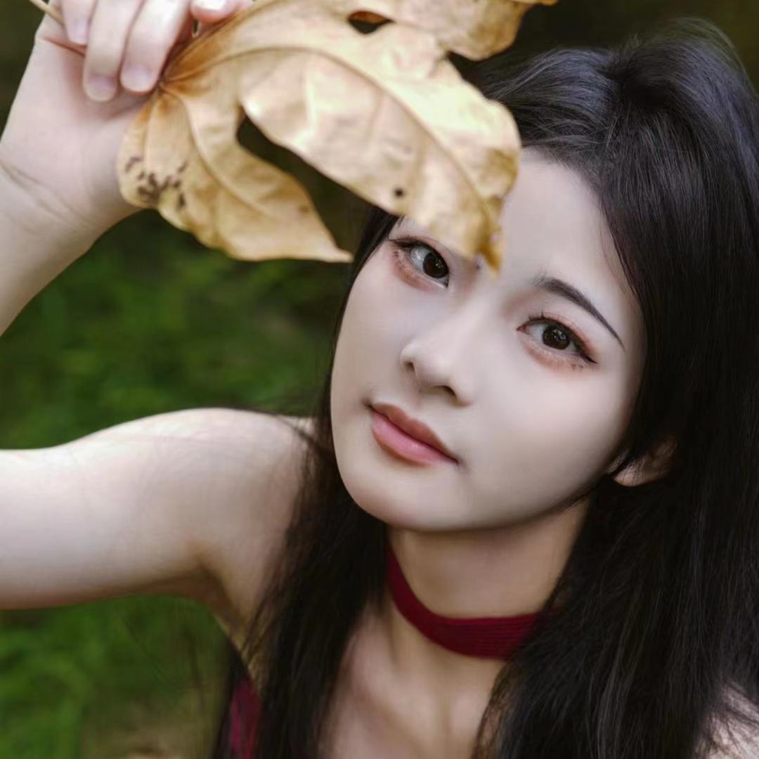 臭猫干饭用盆