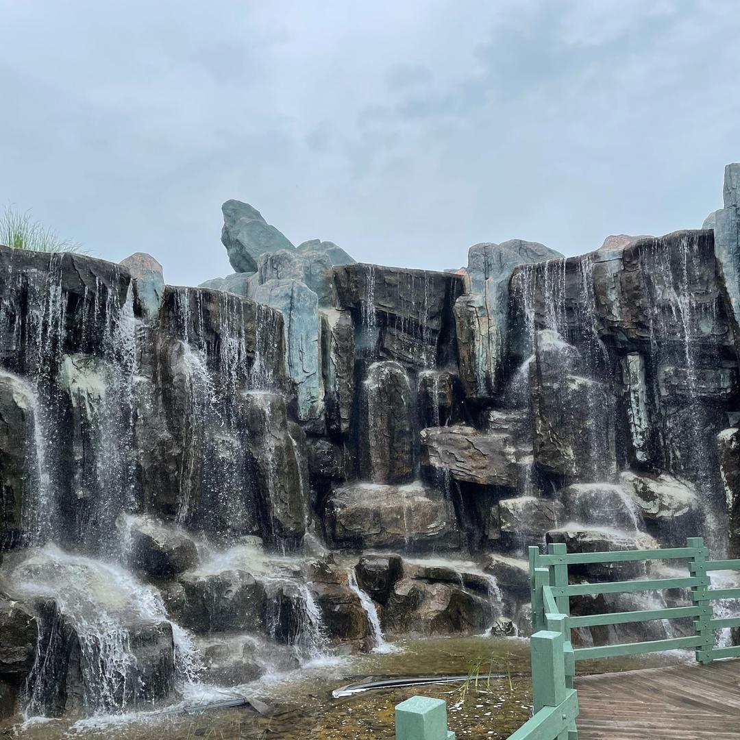 三只松鼠🌼