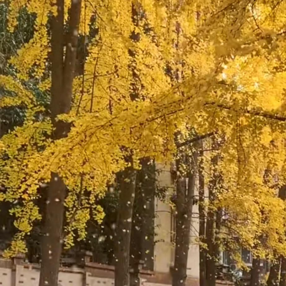 悦怀创意家
