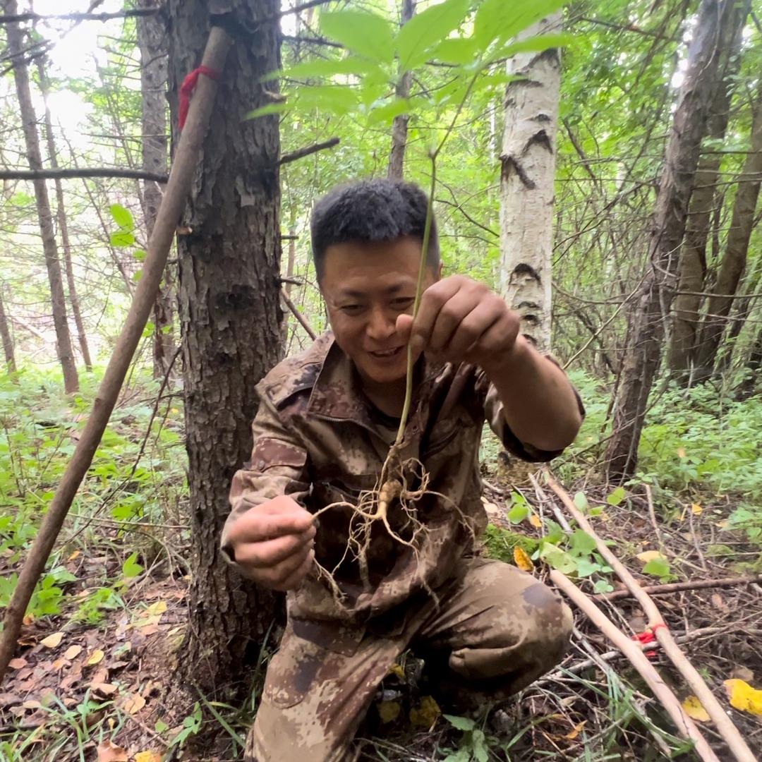 林区小辉