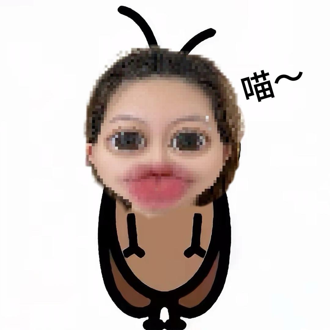 鱼妈妈（私信被封