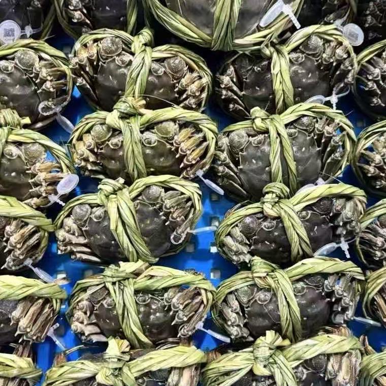 宇凡精品大闸蟹（塘口直发）