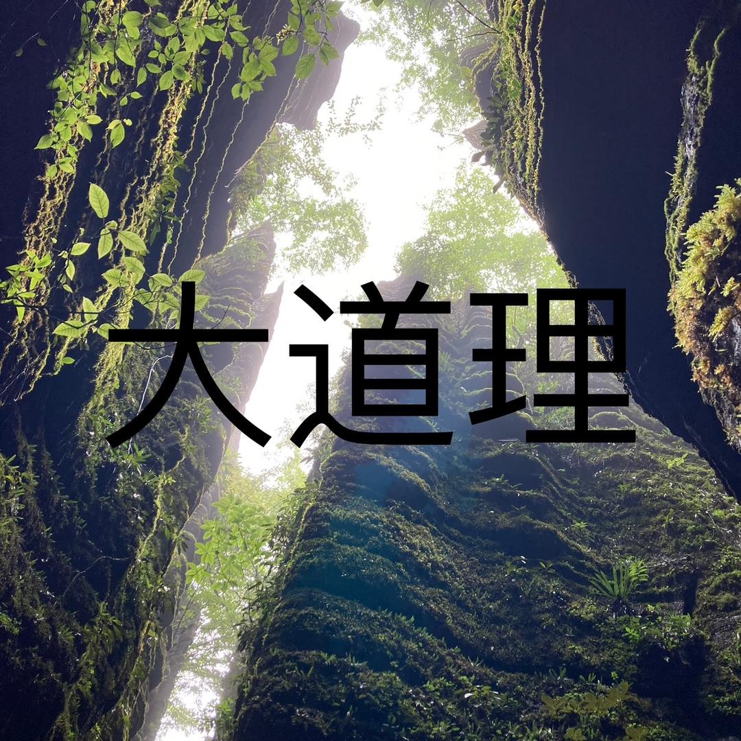 🍮心平气和☕️