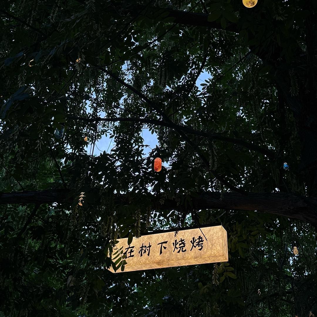在树下烧烤