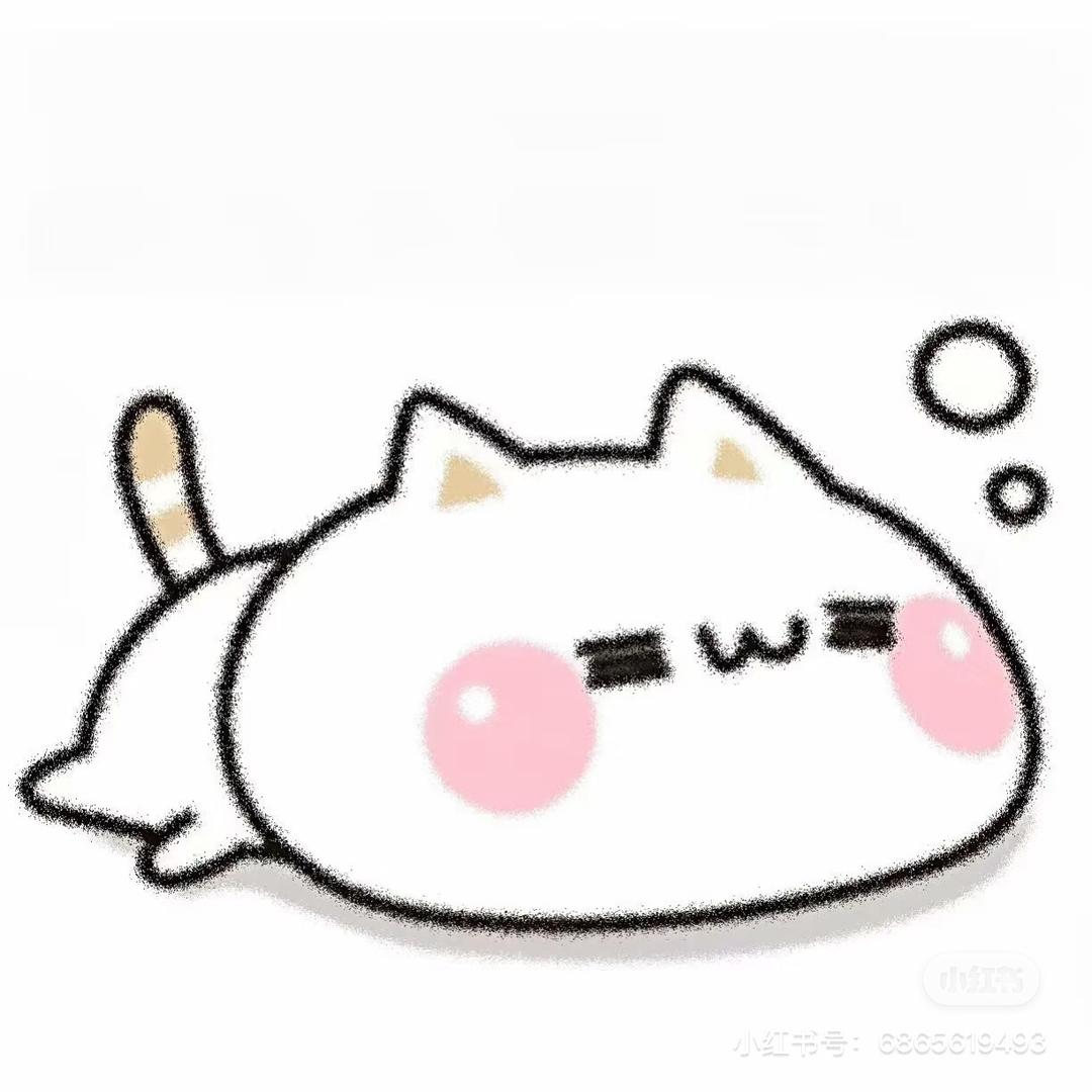 笨笨小茹