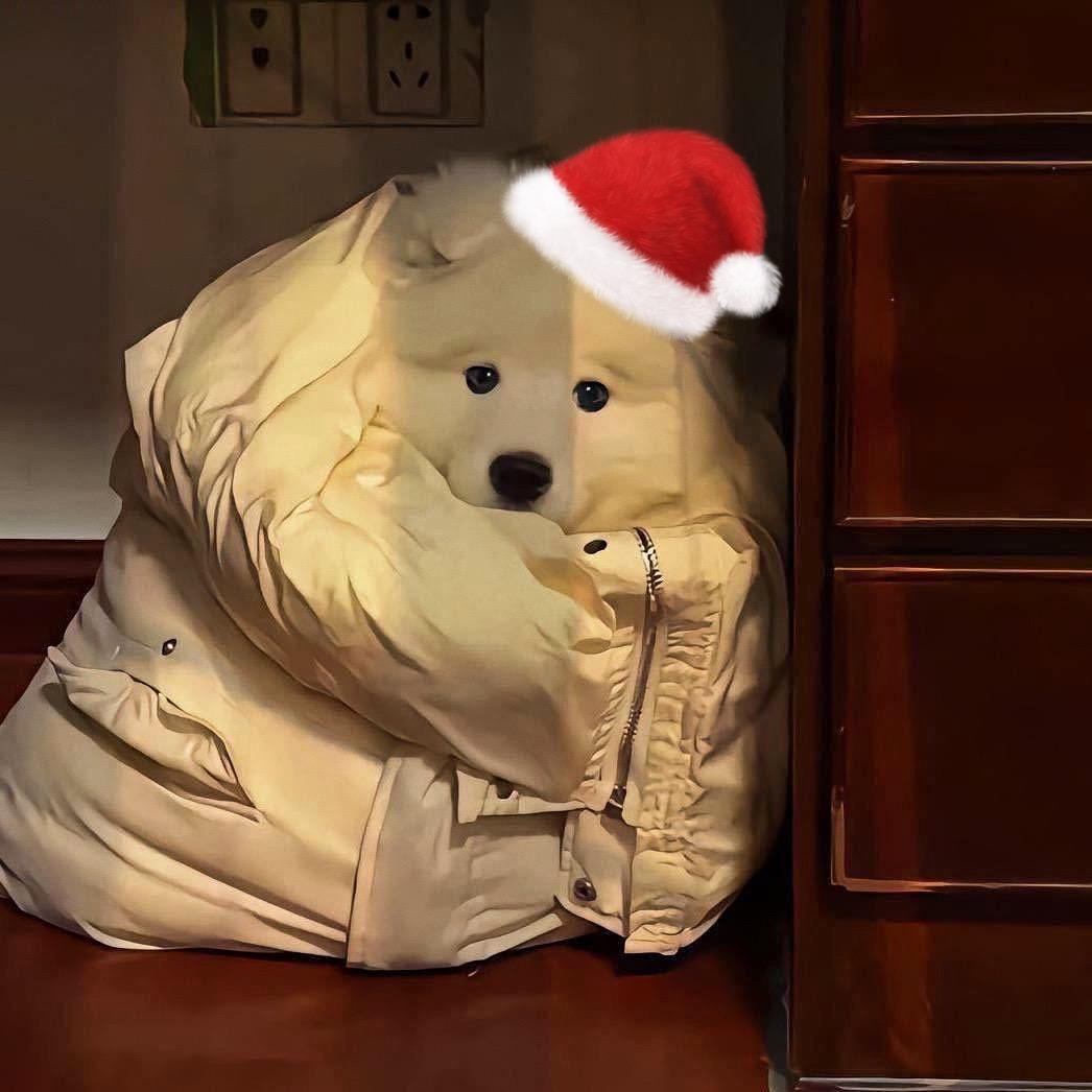 Mr.刘（升学指导）