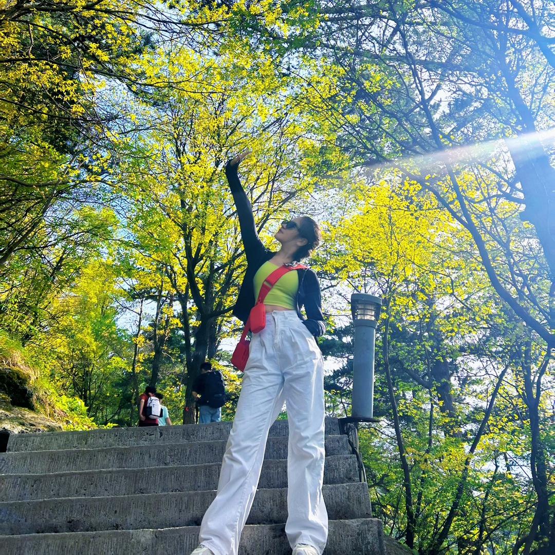 简一
