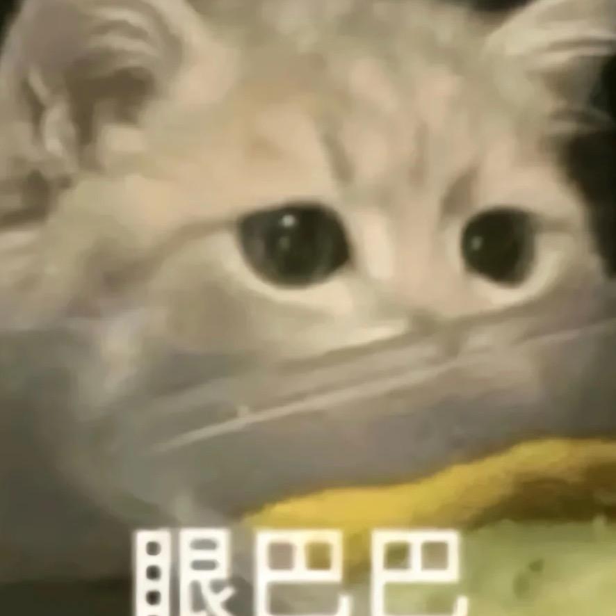 我不喜欢刷美女