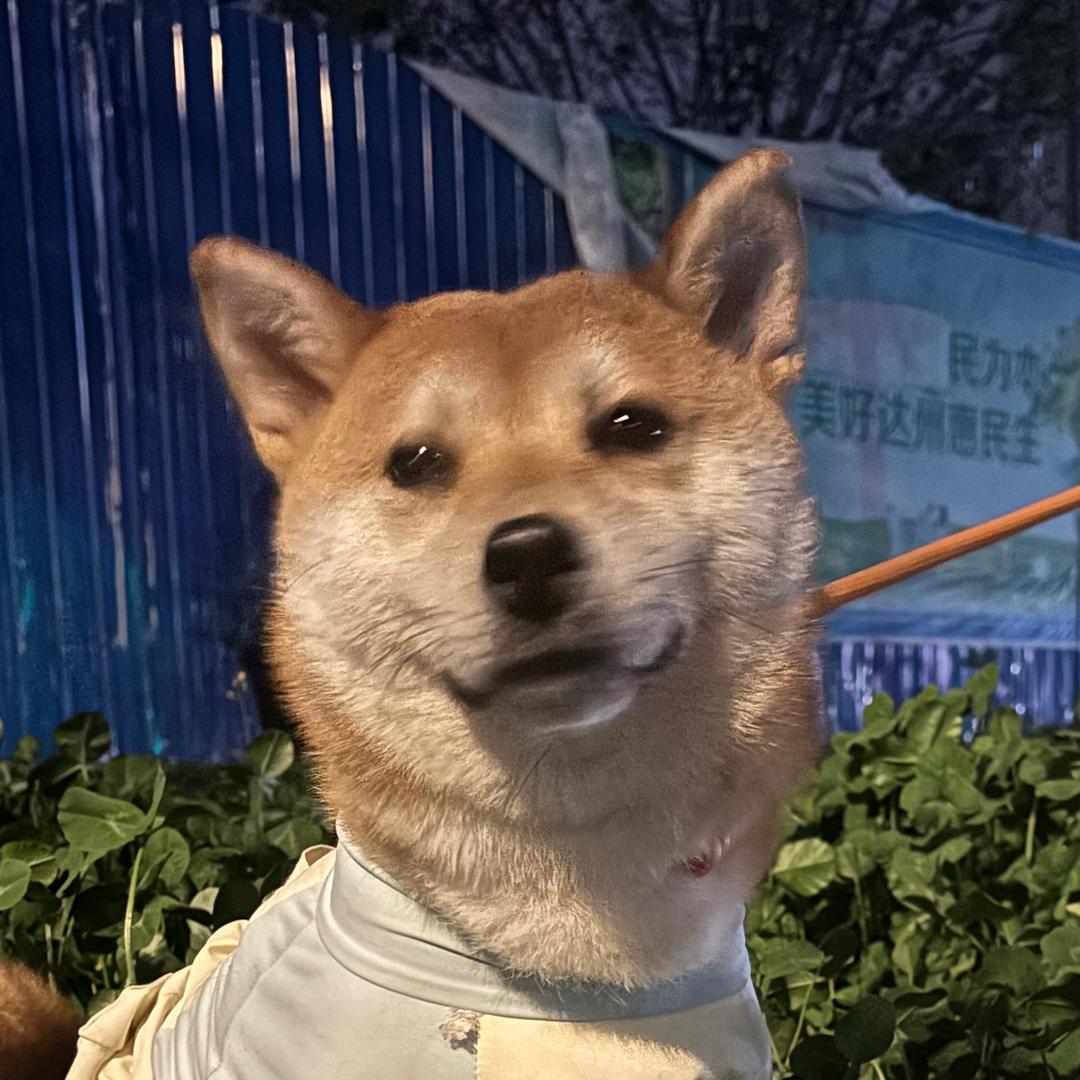 重庆刘些宁