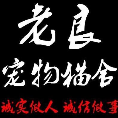 老良猫舍