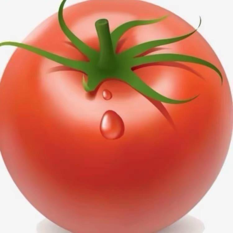 一颗小洋柿子🍅