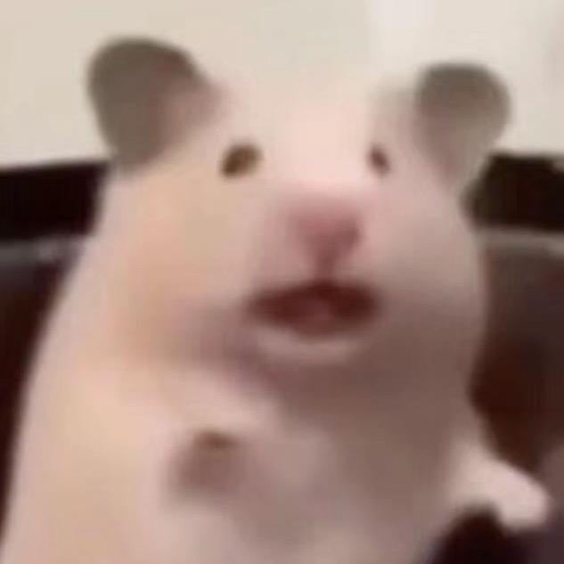 胖头鱼想打游戏