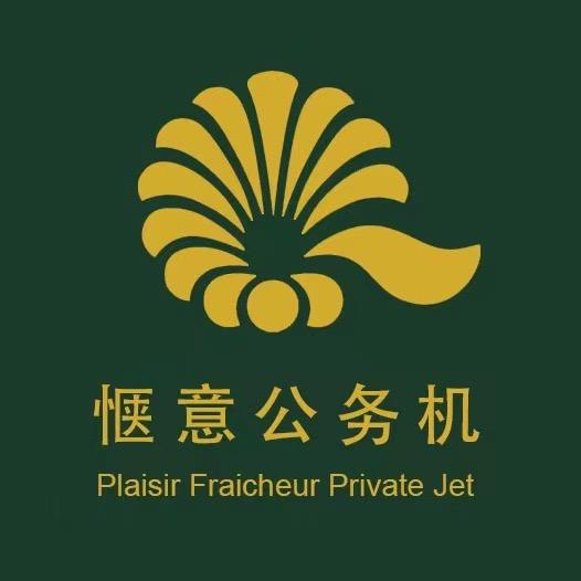 惬意国际公务机
