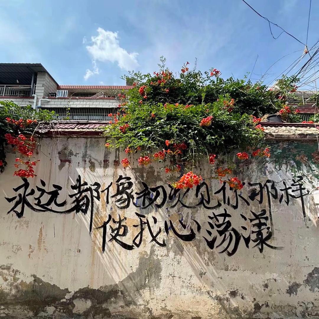 鲁中品鉴贰