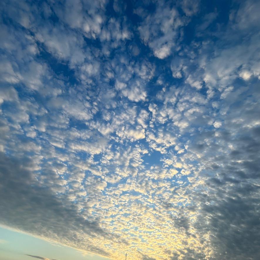 ໑ຼ₂ₒ₂₃୧⍤⃝楊💞ـ