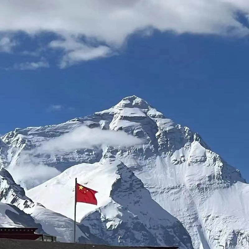 林峰往事（戒赌回头是岸）