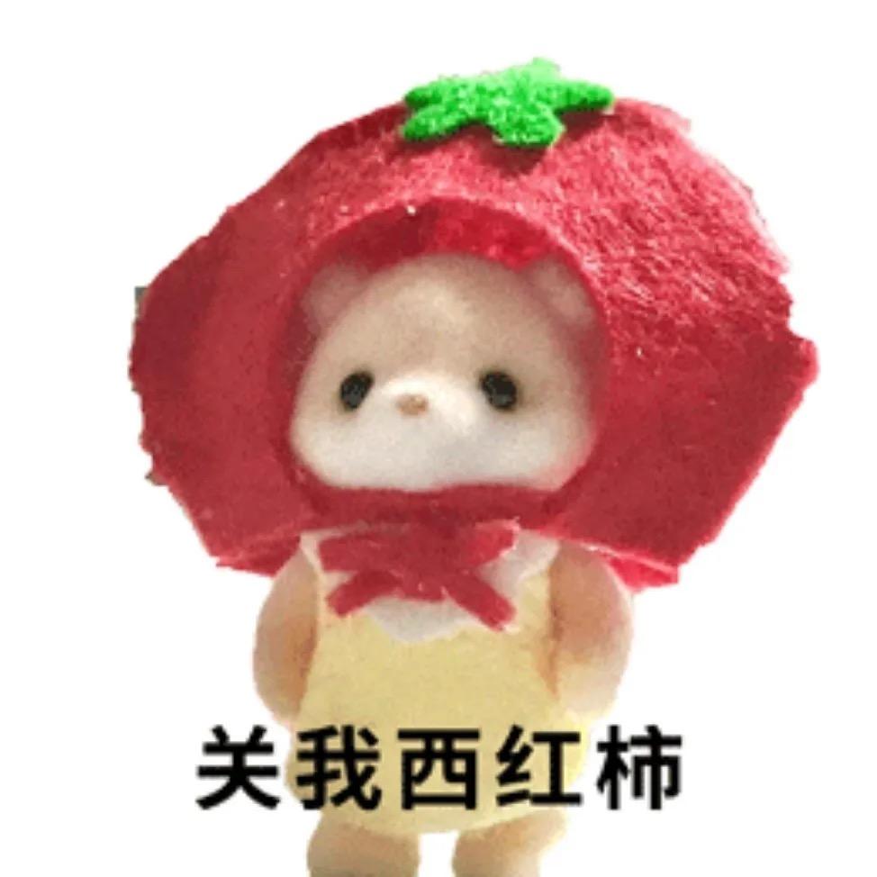 小猫战士