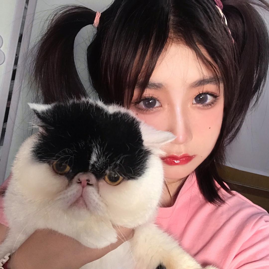 小狗蘸大酱