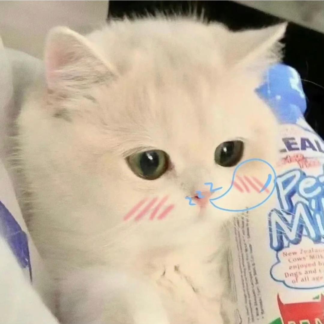小 西