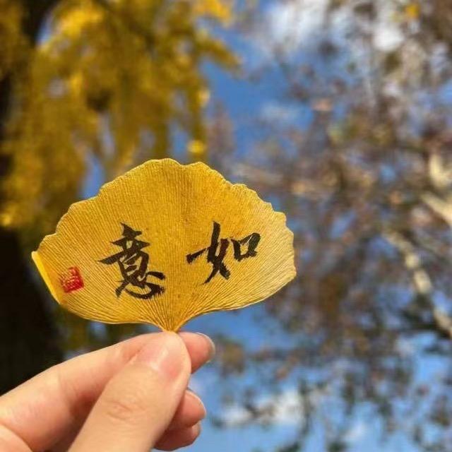 雅南.清瑶