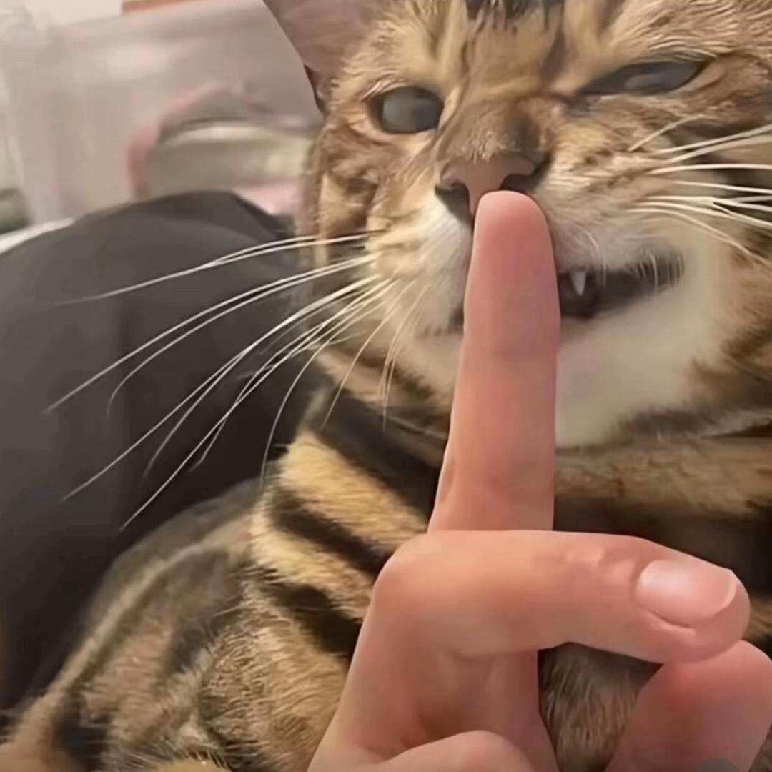 起风了、、