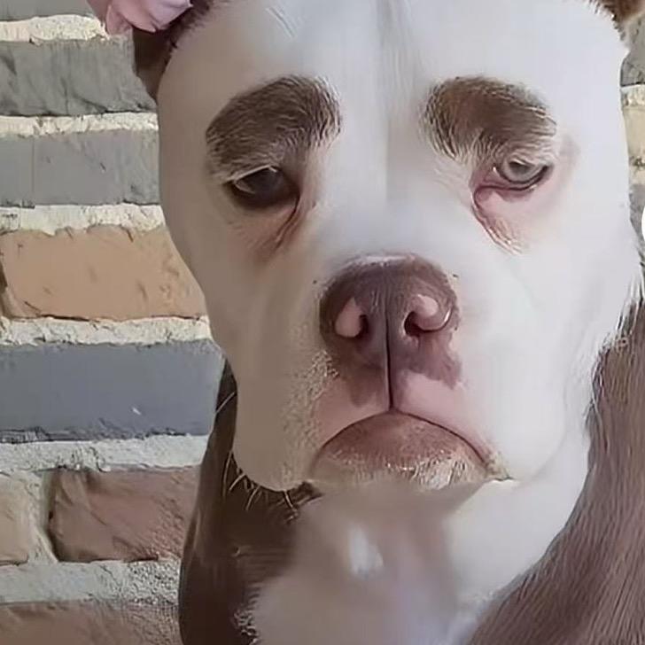 =