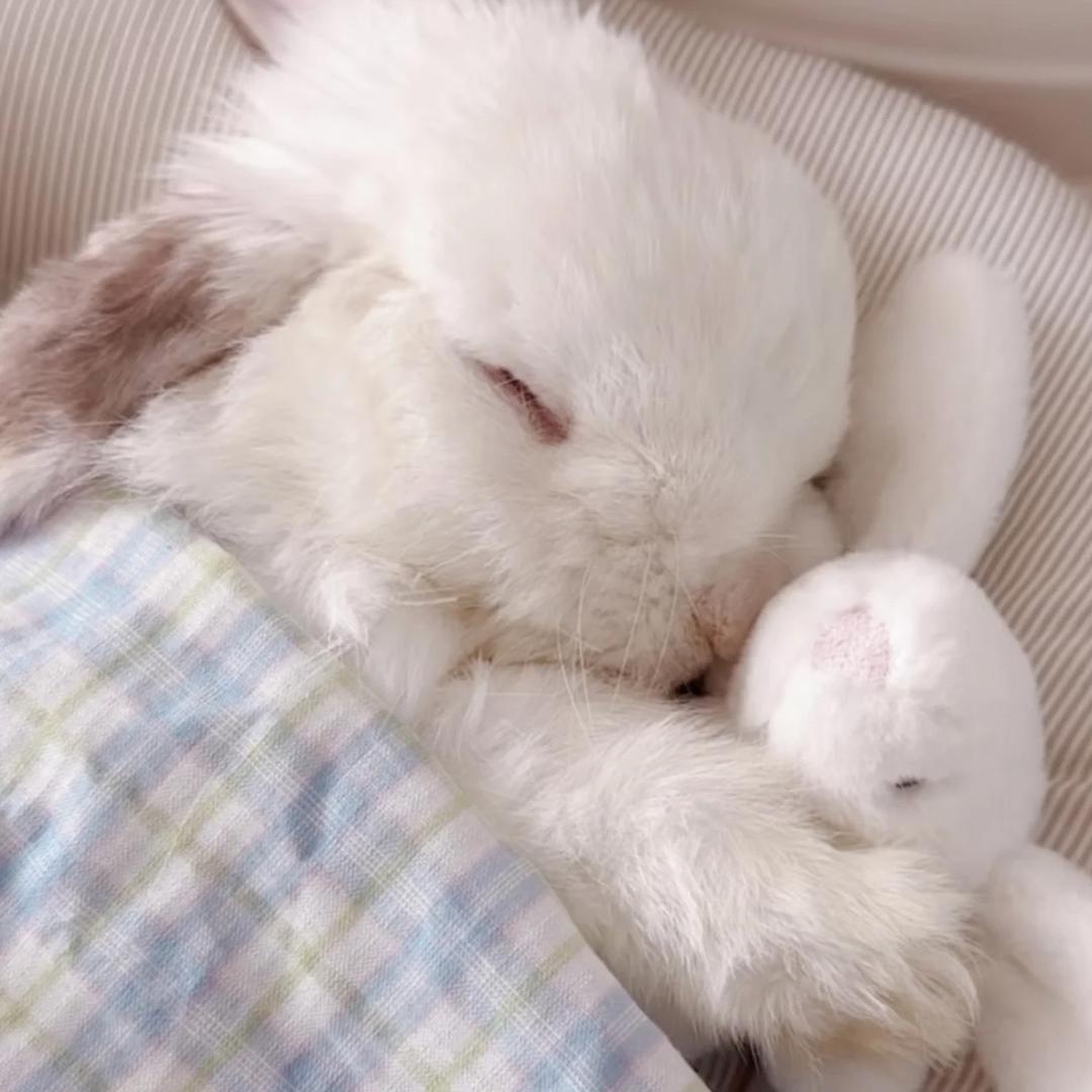 悠里