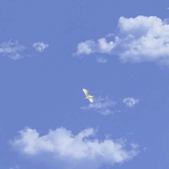 风～华