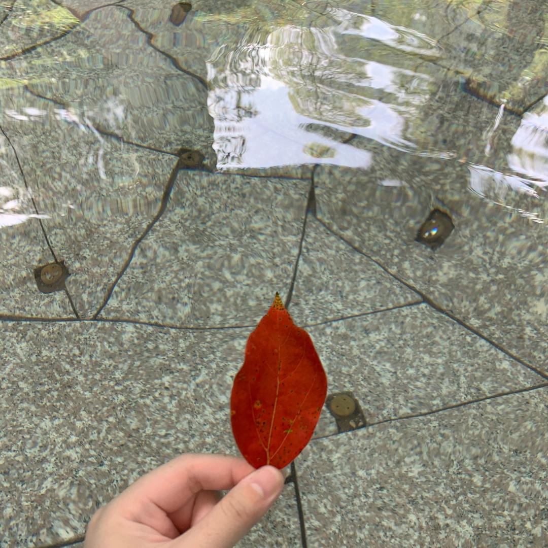 迷你小思思
