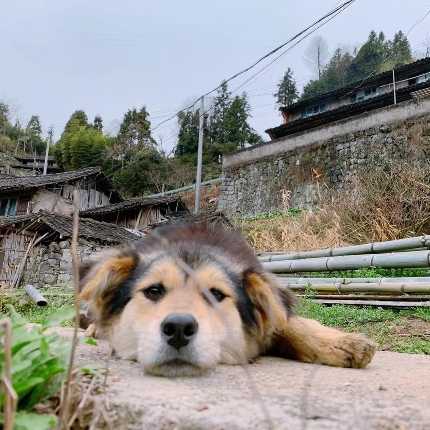 有理想的教育工作者