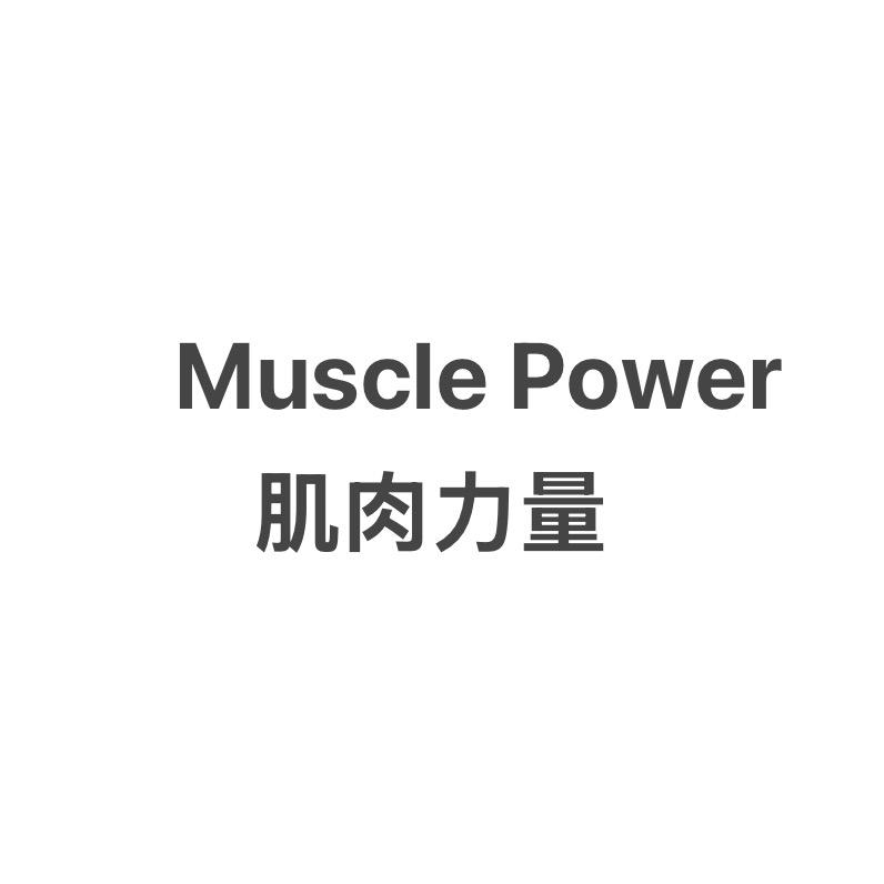 Muscle Power