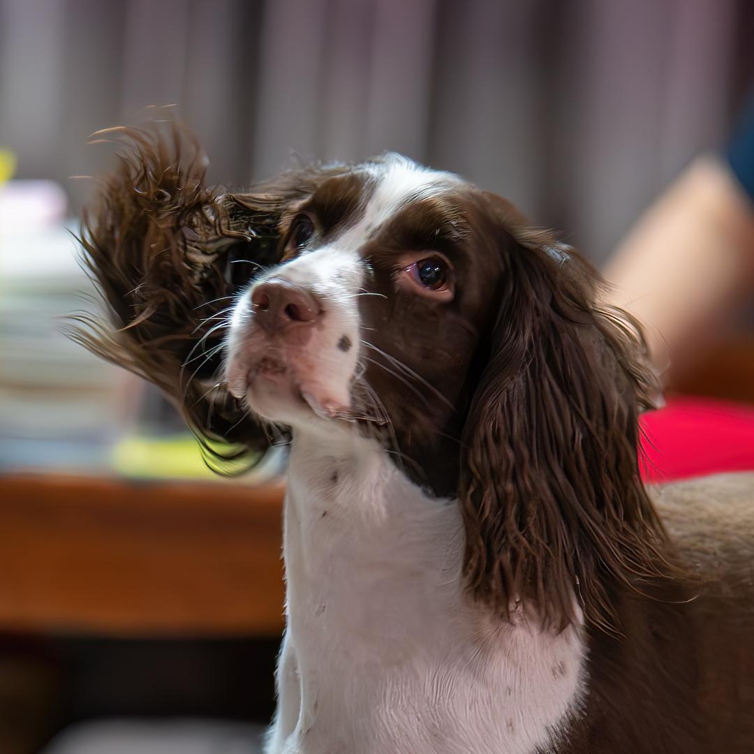 美丽人生～❤️