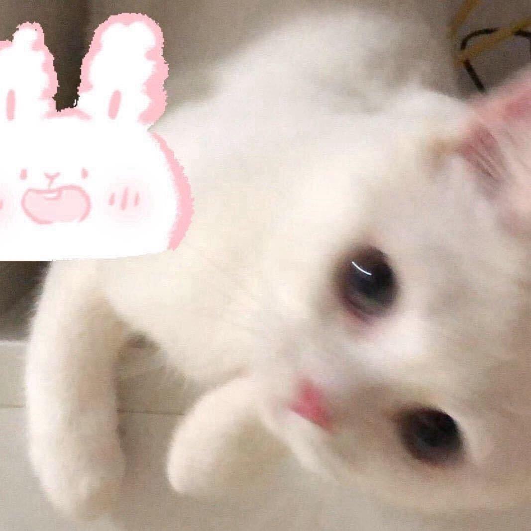 羡慕曹睿能喊甄宓妈妈