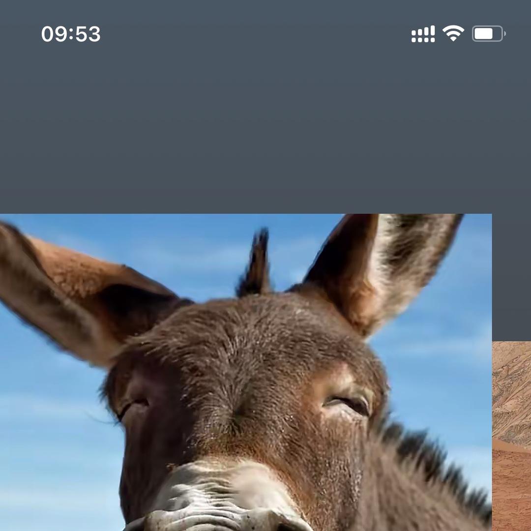 赤壁祥翁百货店