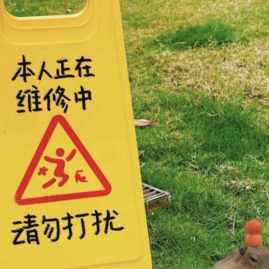 今日已打烊