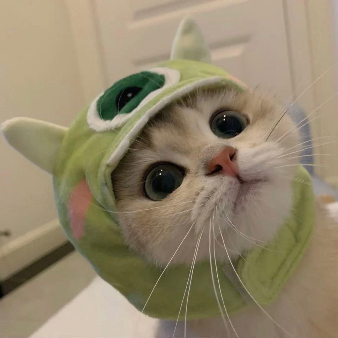 o.O?
