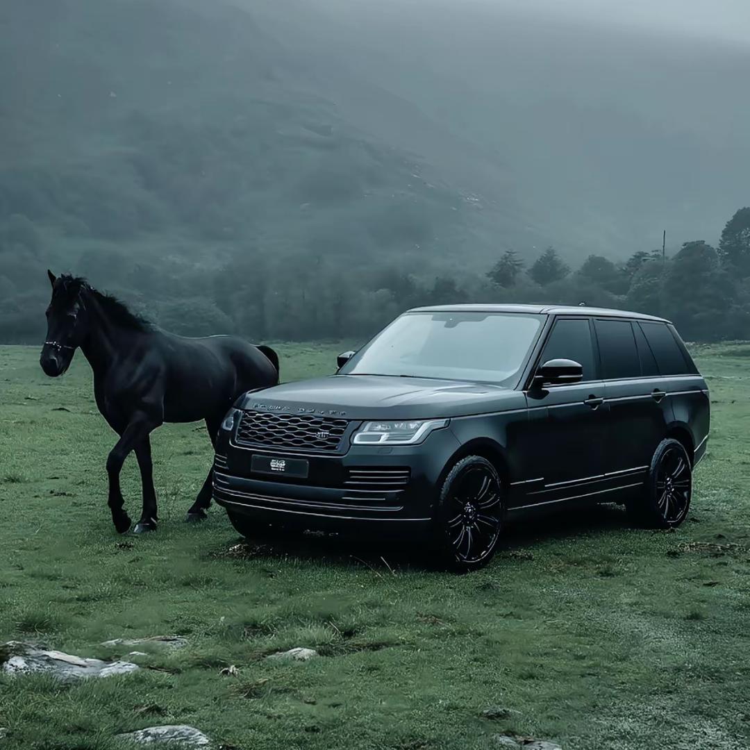 老河口市以彷百货店(个人独资)有保2号