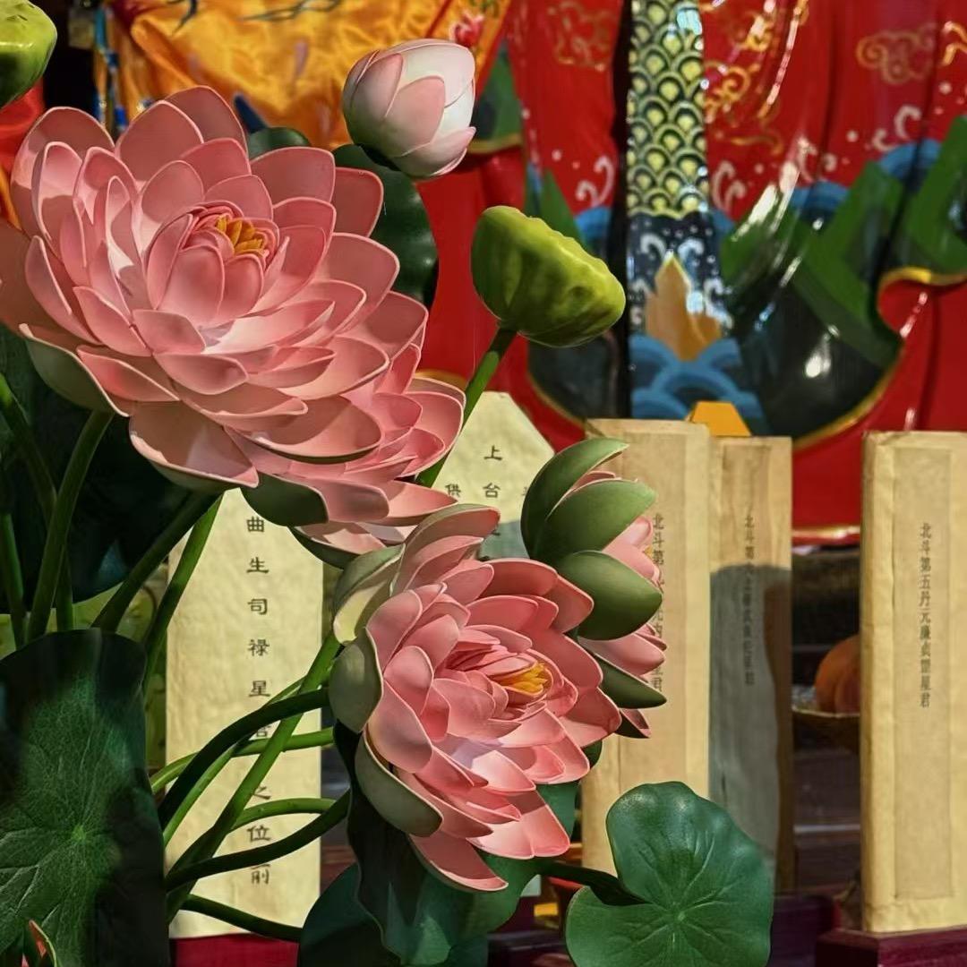 广夭夭