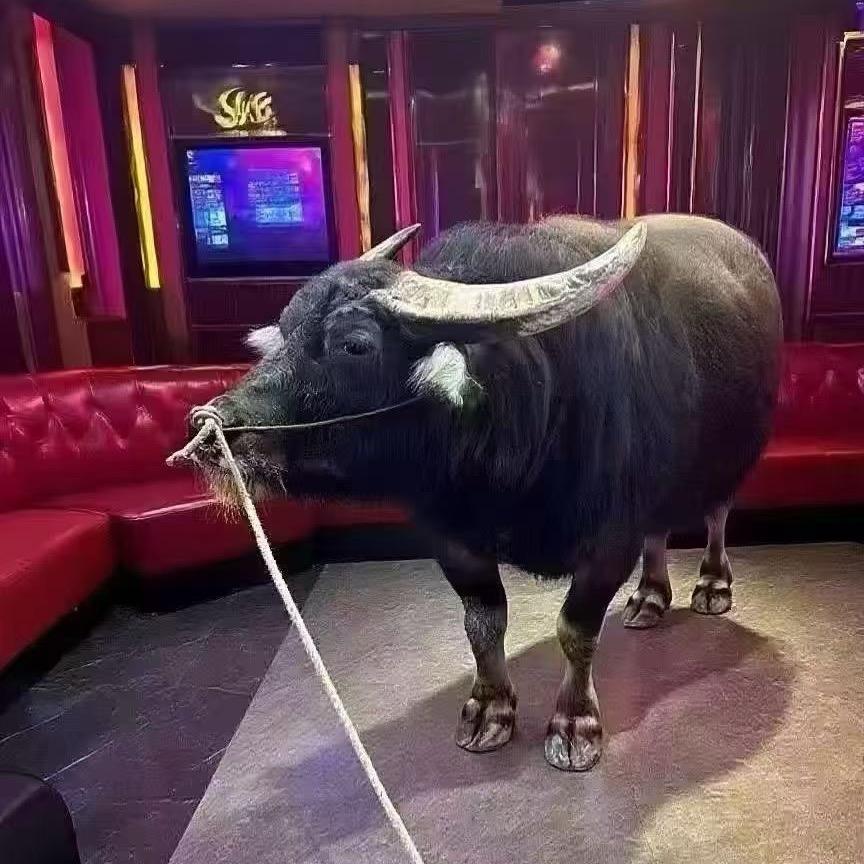 ＊A -廿三里SKY酒吧-涛