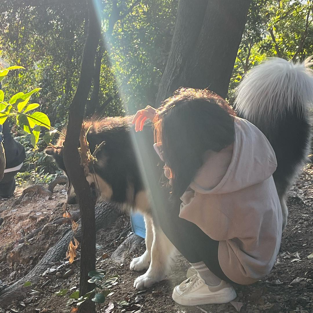 是嘻嘻哈哈（目标95）