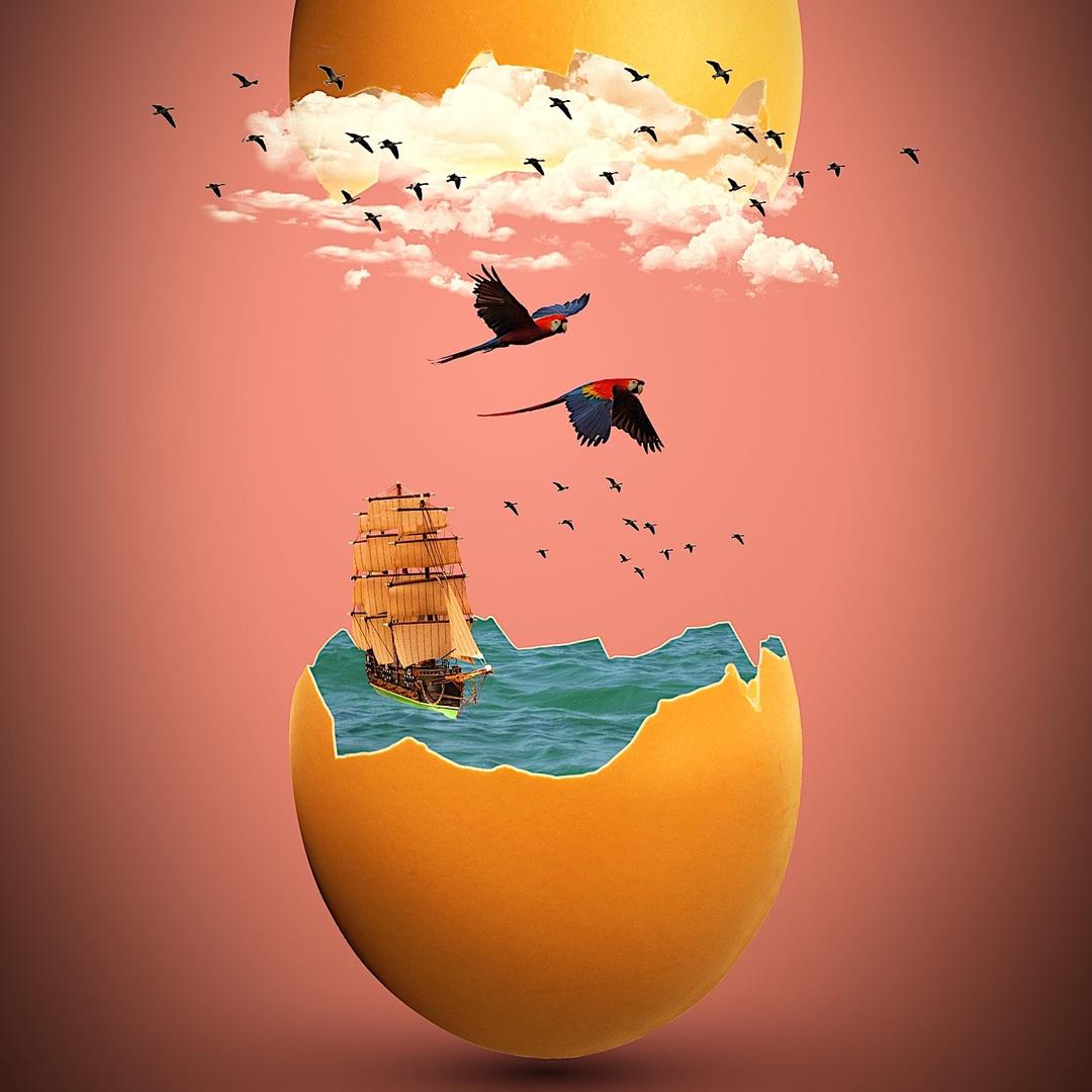 小蛋