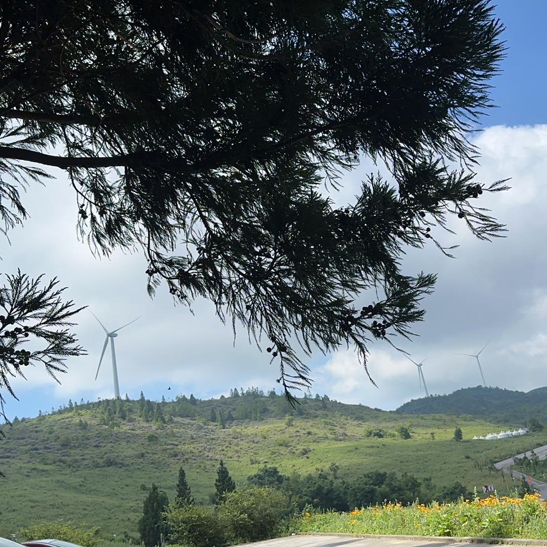 运动养生按摩器材